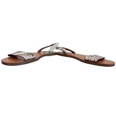 Steve madden snake print flat strap sandals