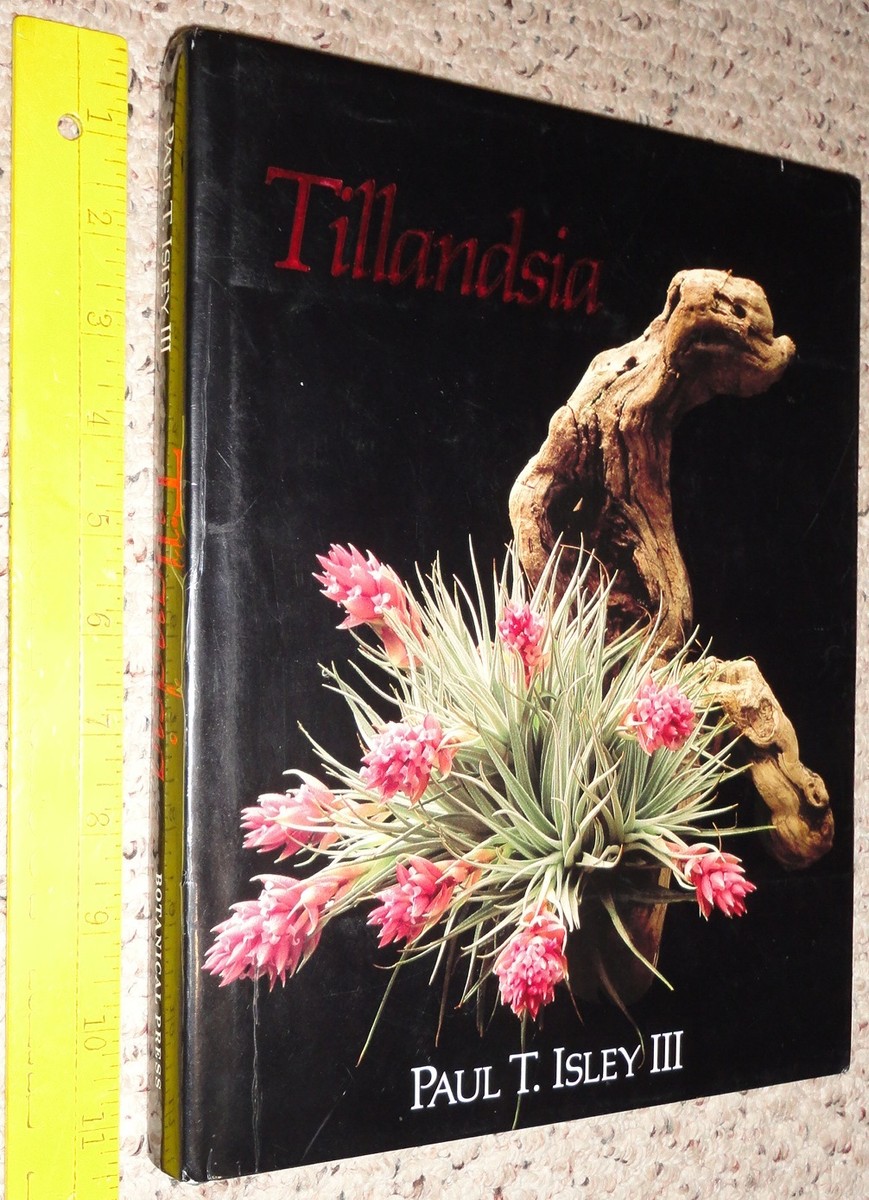 キューハイ様 TillandsiaII by Paul T. Isley III Out of print