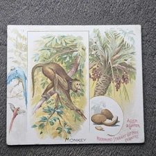 1888 N41 ALLEN & GINTER  QUADRUPEDS    " Monkey "        845