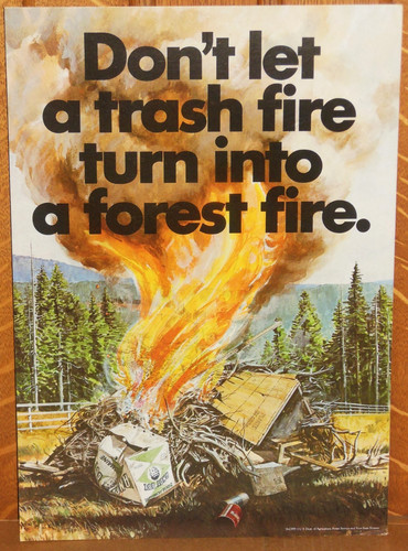 Vtg 1976 SMOKEY BEAR Poster  "Don't Let a Trash Fire Turn into a Forest Fire" 
