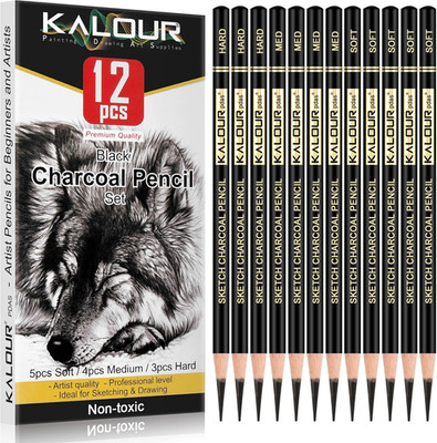 Charcoal Drawing Pencil Set - 12 Pieces for Artists and Beginners