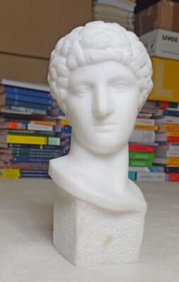 Büste Apollon Carrara Marmor bust Apollo Carrara marble buste marbre de Carrare