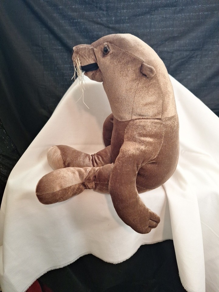 BAB SEAL OR SEA LION WITH WHITE WHISKERS eBay