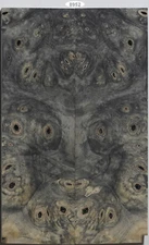 Stabilized Verigated Buckeye Lace Burl knife scales #8952, gun grips, box wood