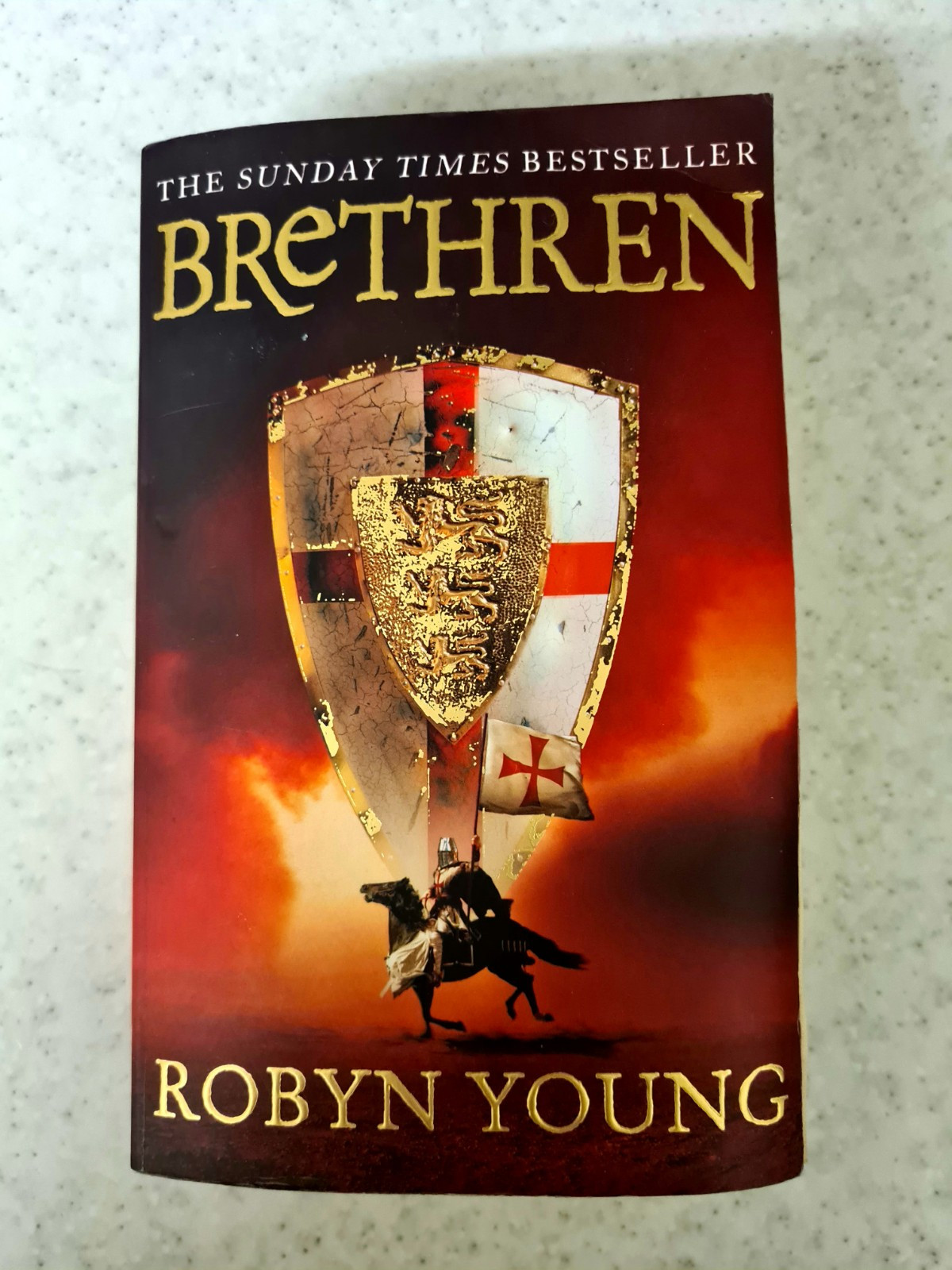 Brethren: Brethren Trilogy Book 1 by Robyn Young Paperback Book