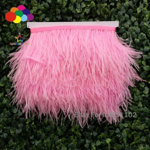 plumage ostrich