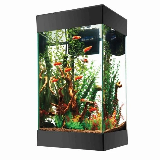 15 gallon top fish tank petco
