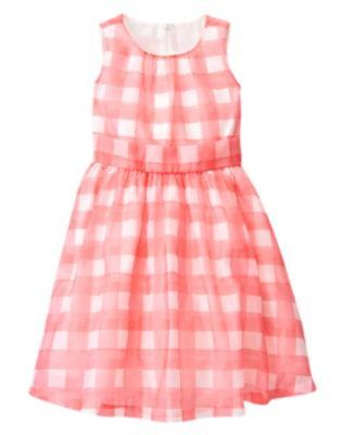 NWT Gymboree Picnic Party Pink Gingham Organza Dress 4 5 Wedding Easter 