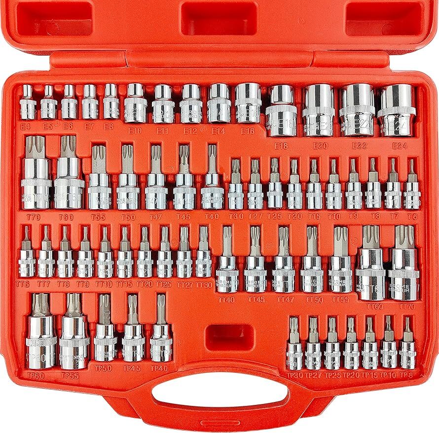 60Piece Master Torx Bit Sockets & External Torx Socket Set,1/4",3/8",1
