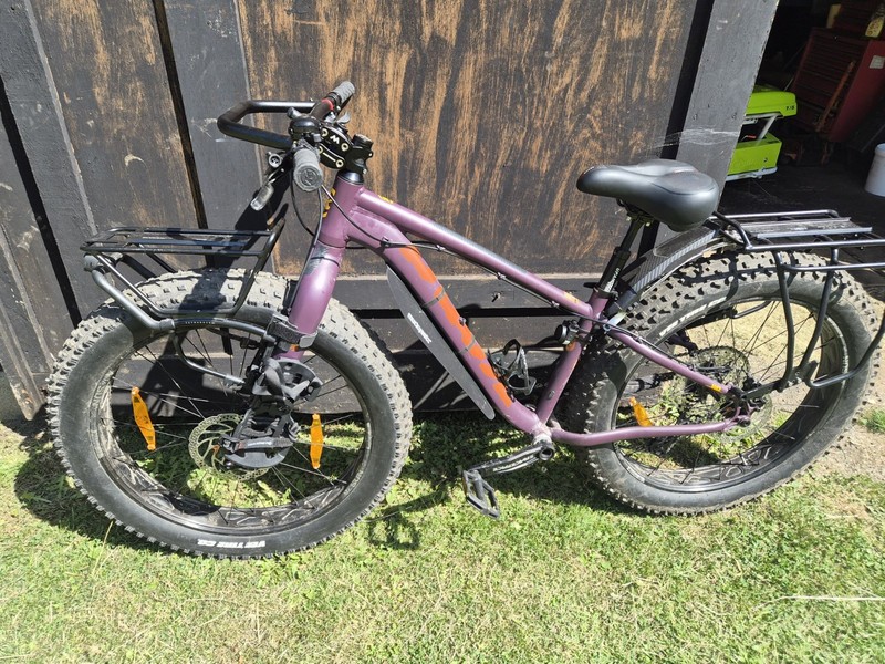 Fat Bike 