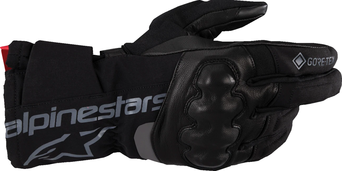 ALPINESTARS WT-4 Gore-Tex Insulated Gloves Black Small 3520425-10-S