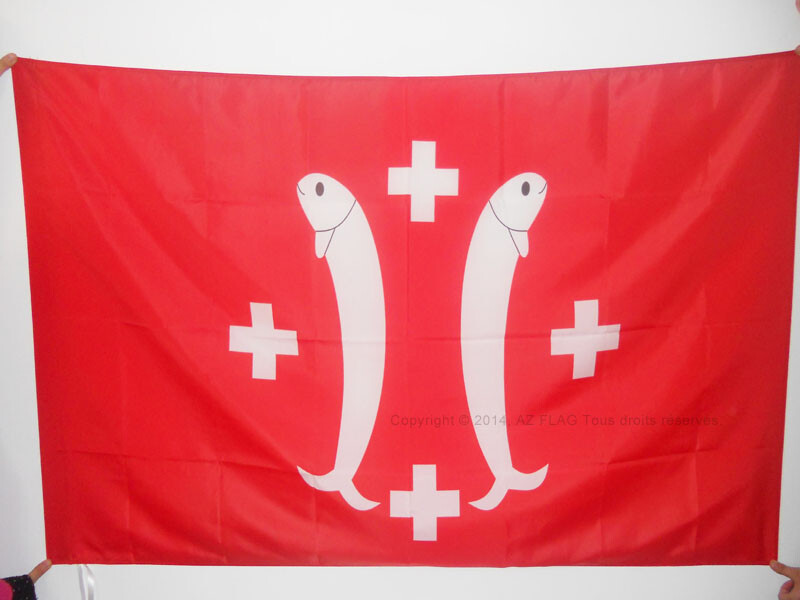 Drapeau Salm-Salm 150x90cm de qualité supérieure avec double piqûre de renfort