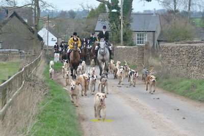 Foto 12x8 Beaufort & Berkeley Hunt, Tresham, Gloucestershire 2017 Joint M c2017