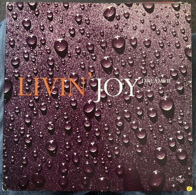 Livin' Joy - Dreamer 1994 MCA Records 12'' Vinyl Record Club Anthem Classic 