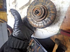 Yamaha 1971 Yamaha AT1 125 Armature/Generator/Magneto