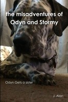 J. Alan | The Misadventures Of Odyn And Stormy | Taschenbuch | Englisch (2014)
