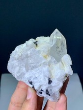 Natural Schorl Tourmaline Crystal With Quartz Combination - 176 Grams
