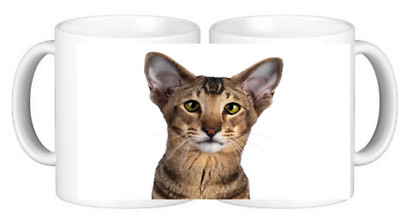 Orientalische Katze Haustier Keramik Kaffeebecher kommt in einer bruchsicheren Box