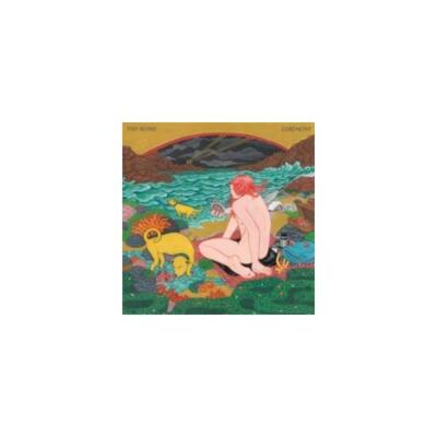 TINY RUINS: CEREMONY - CD *BRAND NEW*