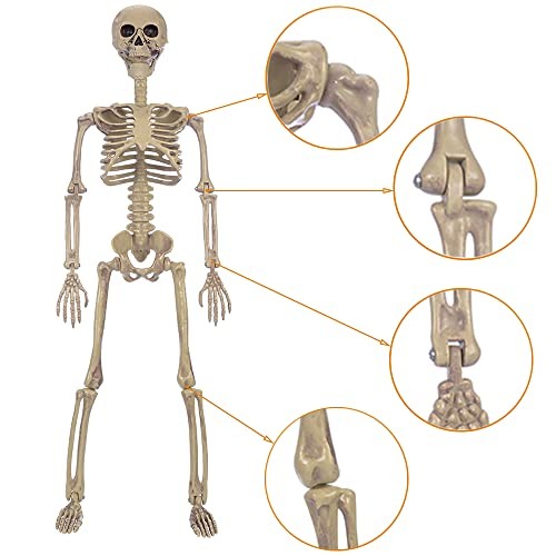 HBSTK Full Body Posable Movable Jonints for 2 Pack 40 Inches Halloween Skeleton - Picture 4 of 7