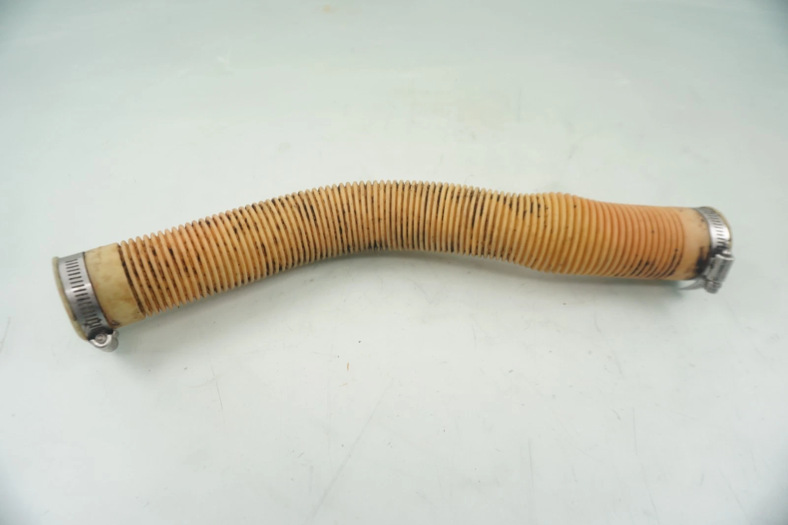 1996-2003 Sea-Doo OEM Oil Filler Hose GTX GTI GTS LRV Freshwater
