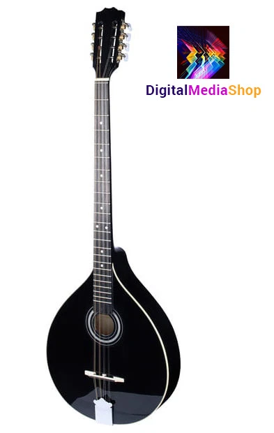 販売卸値 アイリッシュブズーキ Irish Bouzouki 【ルーマニア HORA社製