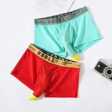 Men's Sporty Mesh Loose Fit Youth Underwear High Quality Breathable Boxer Briefs