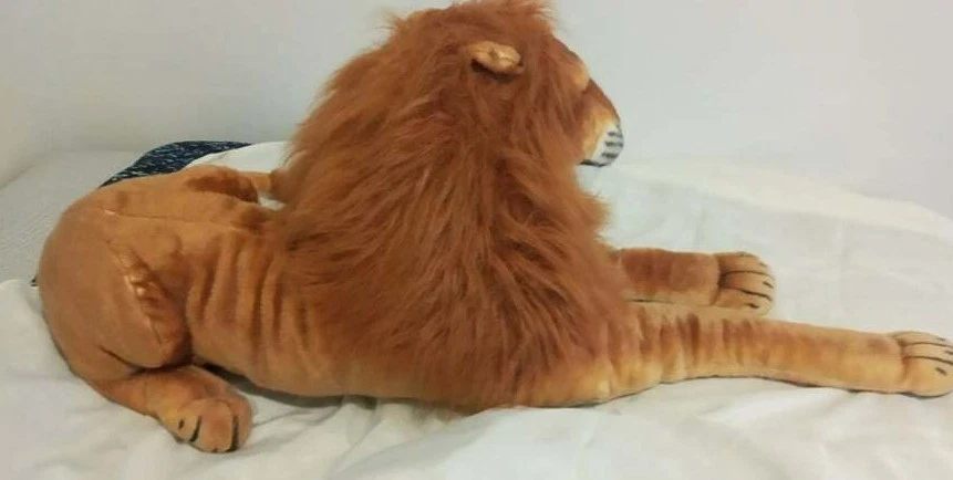 Melissa on sale doug lion