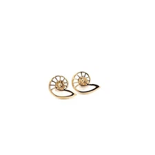 14KT. Yellow Gold Nautilus Shell Post Earrings