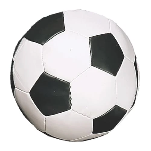 Champion Soccer Ball