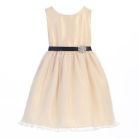 Sweet Kids Little Girls Champagne Pleated Organza Special Occasion Dress 6 on sale Sweet Kids Little Girls Champagne Pleated Organza Special Occasion Dress 6 on sale