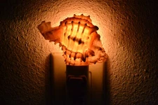 PINK MUREX SEA SHELL NIGHT LIGHT KITCHEN BATHROOM #T-2803