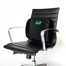 3coFit Mesh Cover Lumbar Cushion - Lower Back Pain Lumbar Pillow, Protect