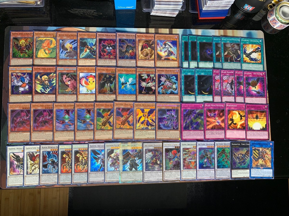 Yugioh Crow Hogan Blackwing Deck - Winged Beast, Synchro, Warrior, Armor  Master
