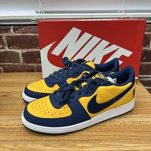 Nike Terminator Low Michigan | eBay display picture 3