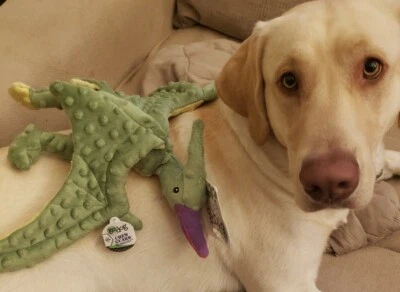 GoDog Terry the Terradactyl Large Chew Guard Squeaker Plush Dog Toy 770794