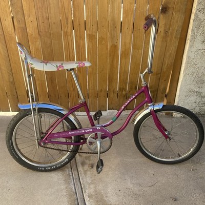激レア Schwinn Sting-Ray SLIK Vintage Violet 1970 Schwinn Stingray SLIK CHIK 20” Bicycle | eBay