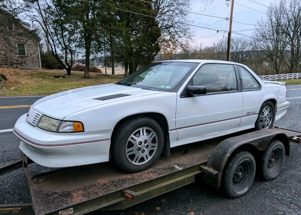 Chevrolet Lumina 1990-1994 LH RH parasoles parasol tela OEM rojo granate par  Foto 2 de 4