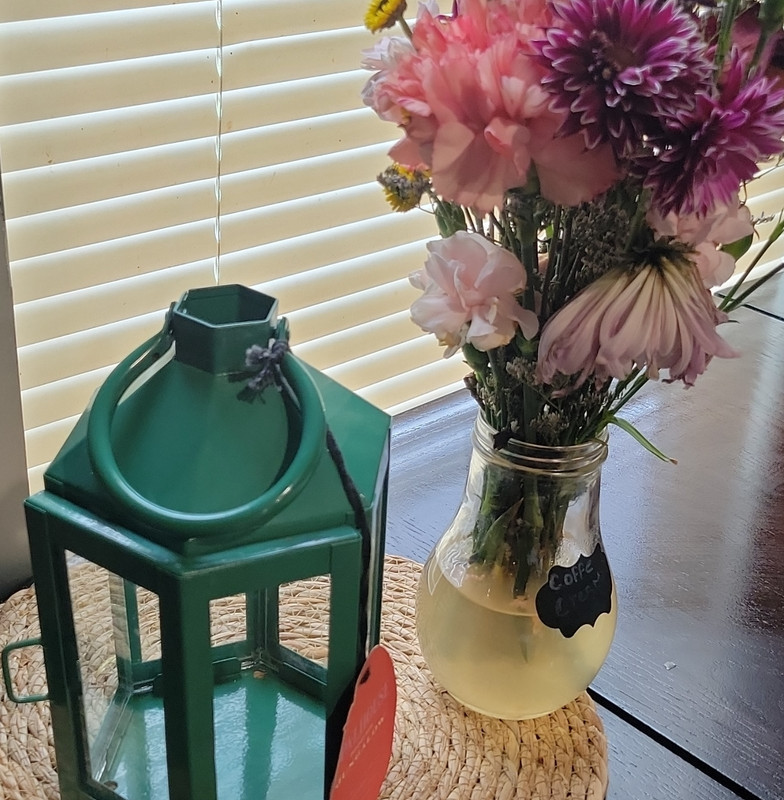 Opalhouse Jungalow Green Metal Rectangular Lantern 8.25x5.5x5 in Free Standing