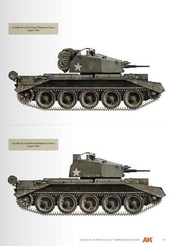 Vehicles of the Polish 1st Armoured Division - AK130010 - Picture 3 of 11