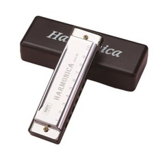 10 Hole Harmonica Mouth Organ Puzzle Musical Instrument Beginner