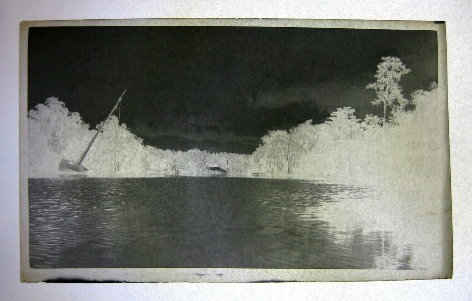 1910s Tipping Sail Boat River Spanish Moss Vintage Photo Negative 5.5 X