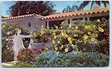 Flowering shrubs, vines and rare tropical blossoms in your own front yard - FL