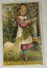 James Pyle's Pearline Girl Holds Cat Sheep Lamb Poem on Back