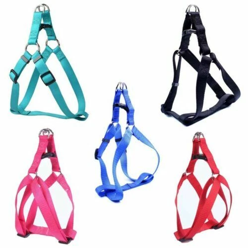 Harness Dog Collars