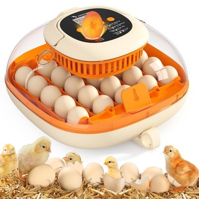 Chickcozy 25 Egg Incubator, Automatic Turner with Sunlit Orange 