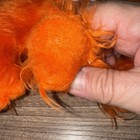 Bild 8 von 13