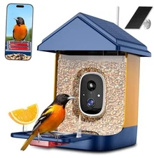 Smart AI Bird Feeder for Families - Attract Vibrant Cardinals! 2K Gold