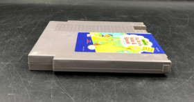 Sesame Street: Big Bird's Hide & Speak (Nintendo Entertainment System, NES)