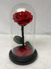 Rose Preserved in Dome 9”